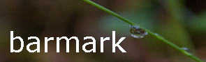 barmark